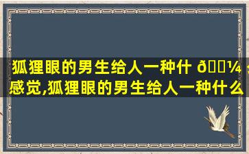 狐狸眼的男生给人一种什 🐼 么感觉,狐狸眼的男生给人一种什么感觉和感觉